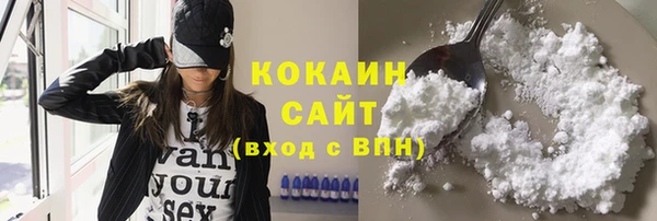 меф Арсеньев