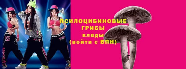 ECSTASY Баксан