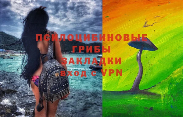 ECSTASY Баксан