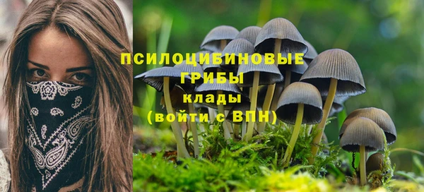 дурь Вяземский