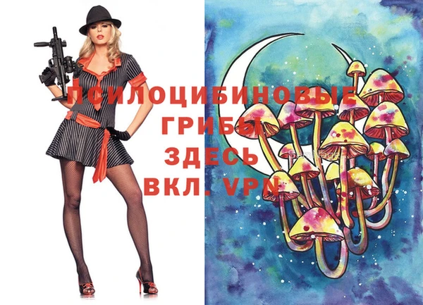 PSILOCYBIN Киренск