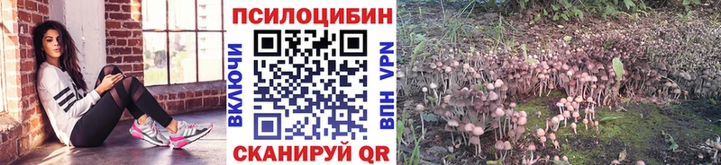 Галлюциногенные грибы мухоморы  ОМГ ОМГ ТОР  Колпашево 